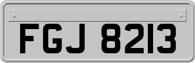 FGJ8213