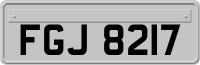 FGJ8217