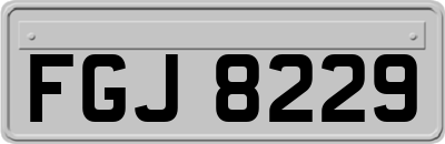 FGJ8229