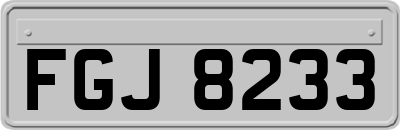 FGJ8233