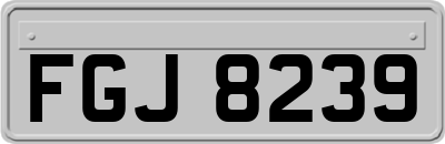 FGJ8239