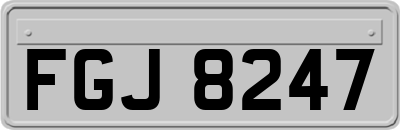FGJ8247