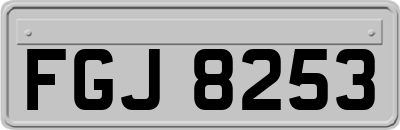 FGJ8253