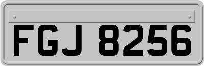 FGJ8256
