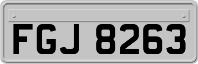 FGJ8263