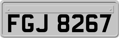 FGJ8267