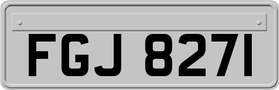 FGJ8271