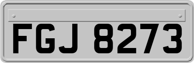 FGJ8273