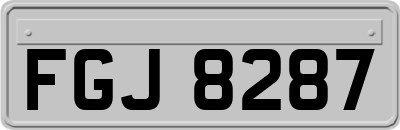 FGJ8287