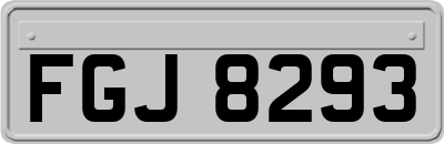 FGJ8293