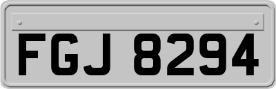 FGJ8294