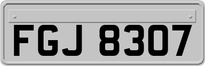 FGJ8307