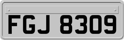 FGJ8309