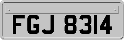 FGJ8314