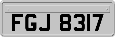 FGJ8317
