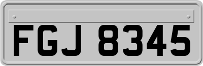 FGJ8345