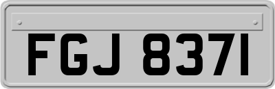 FGJ8371