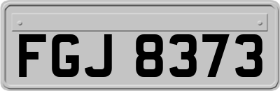 FGJ8373