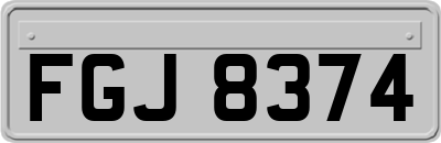 FGJ8374