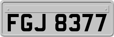 FGJ8377