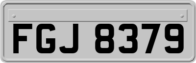 FGJ8379