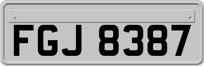 FGJ8387