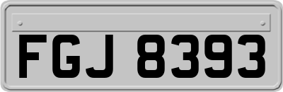 FGJ8393