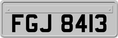 FGJ8413