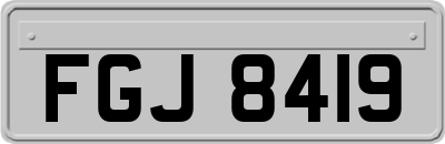 FGJ8419