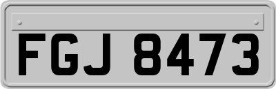 FGJ8473