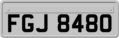 FGJ8480