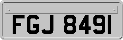 FGJ8491