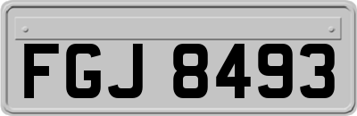 FGJ8493