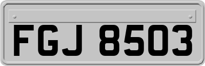FGJ8503