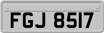 FGJ8517
