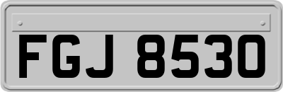 FGJ8530