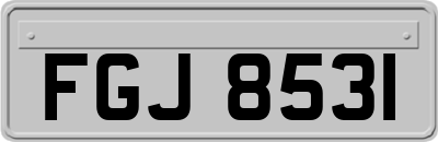 FGJ8531
