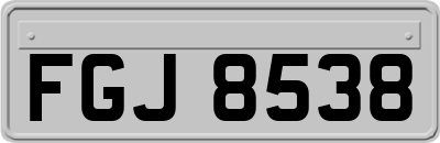 FGJ8538