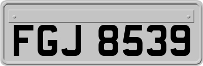 FGJ8539