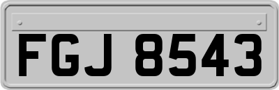 FGJ8543