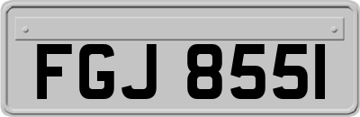 FGJ8551