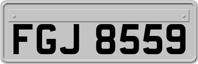 FGJ8559