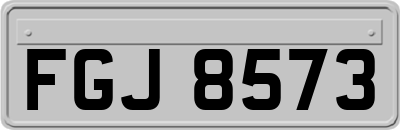 FGJ8573