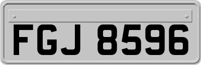 FGJ8596