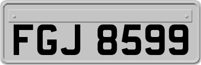 FGJ8599