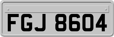 FGJ8604