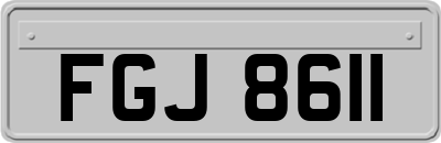 FGJ8611