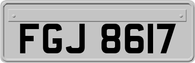 FGJ8617