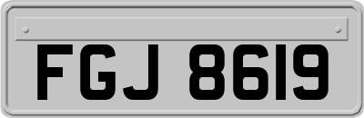 FGJ8619