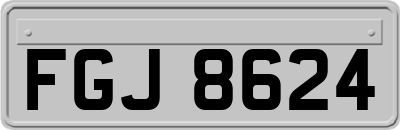 FGJ8624